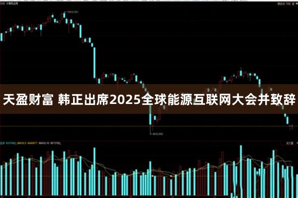 天盈财富 韩正出席2025全球能源互联网大会并致辞