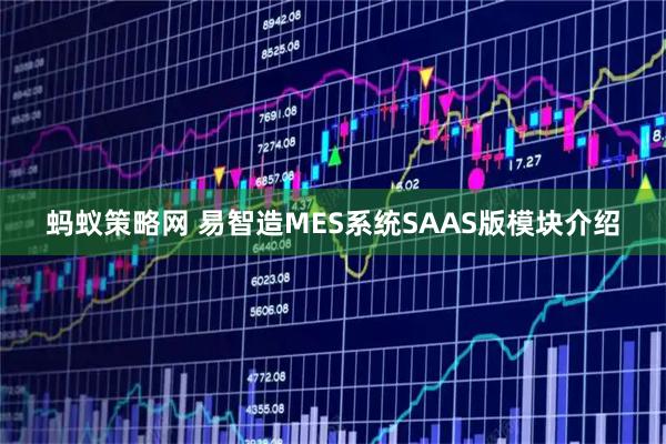 蚂蚁策略网 易智造MES系统SAAS版模块介绍