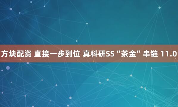 方块配资 直接一步到位 真科研SS“茶金”串链 11.0